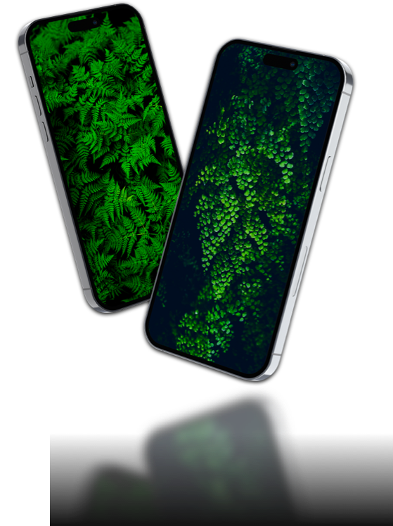 Phone Mockup